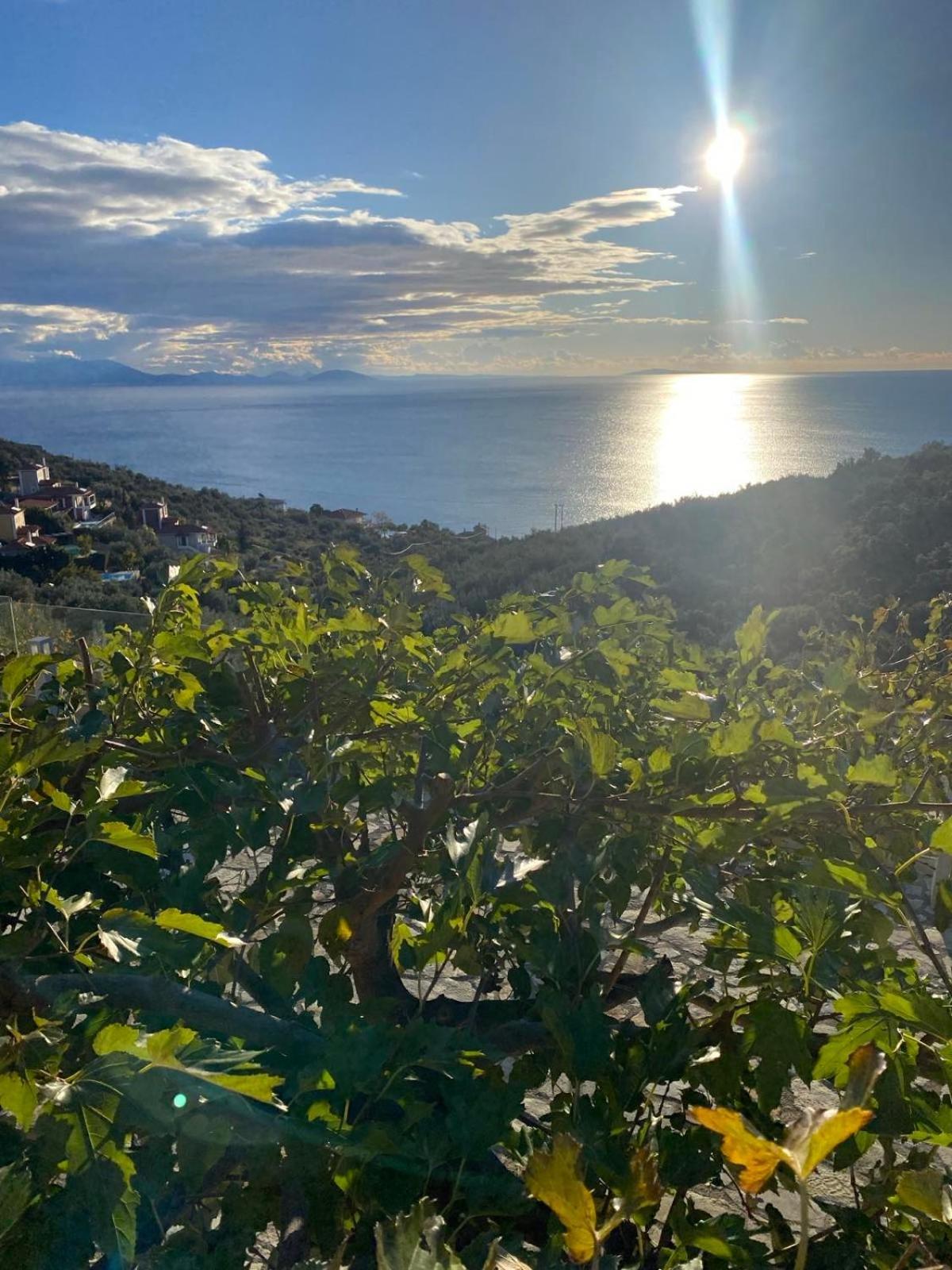 Apollo Romantic Sea View Villa Киверион Экстерьер фото